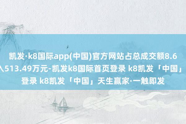 凯发·k8国际app(中国)官方网站占总成交额8.6%；游资资金净流入513.49万元-凯发k8国际首页登录 k8凯发「中国」天生赢家·一触即发