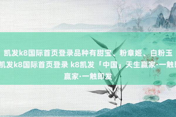凯发k8国际首页登录品种有甜宝、粉章姬、白粉玉等-凯发k8国际首页登录 k8凯发「中国」天生赢家·一触即发