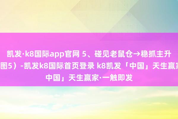 凯发·k8国际app官网 5、碰见老鼠仓→稳抓主升浪（参见下图5）-凯发k8国际首页登录 k8凯发「中国」天生赢家·一触即发