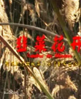 《韭菜花开》：一部充满乡土气息的扶贫史诗，看小人物如何绽放生命光彩！