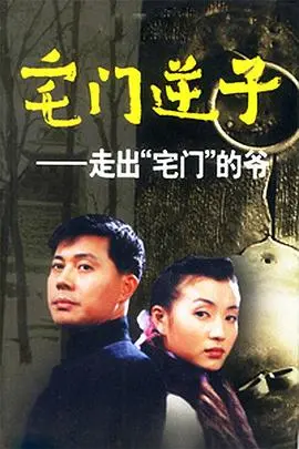 《宅门逆子》：家族荣辱与少年叛逆的悲歌，重塑凤凰涅槃的命运轨迹